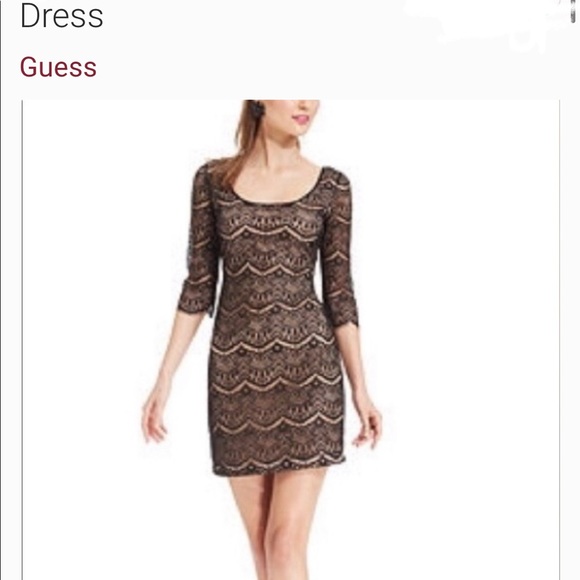 Guess Los Angeles - Picture 6 of 8